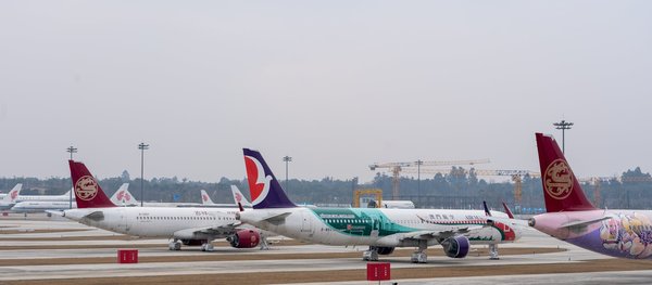 Comment organiser une croisière axée sur la découverte des espèces endémiques des îles Galápagos?